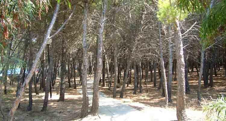 Villetta Aurora Villaggio Porto Ada A 2 Passi Dal Mare ปิซโซ ภายนอก รูปภาพ